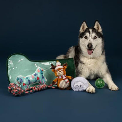 Fringe Studio Pet Toy, Happy Pawlidays Dog Toy Stocking 6 Piece Set, PetShop Collection (630020) - color: Pawlidays