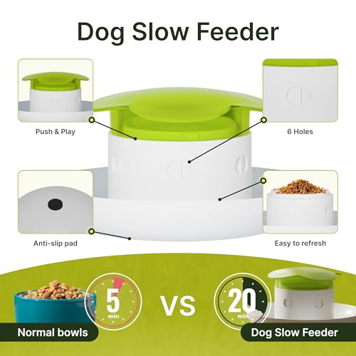 Dog Slow Feeder Bowl – Interactive Puzzle Feeder for Dogs – Fun Eating Game to Slow Down Fast Eaters – Non-Slip Design – Food & Water Bowl for Small, Medium & Large Dogs – Green