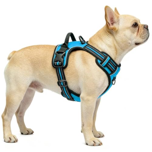Blue No-Pull Dog Harness with 2 Leash Clips，Soft Padded Vest for Large Dog, Adjustable Reflective Dog Vest Easy to Put on and Take Off, (Neck: 17"~24", Chest: 24"~32",Blue L) - color: Blue, size: Large