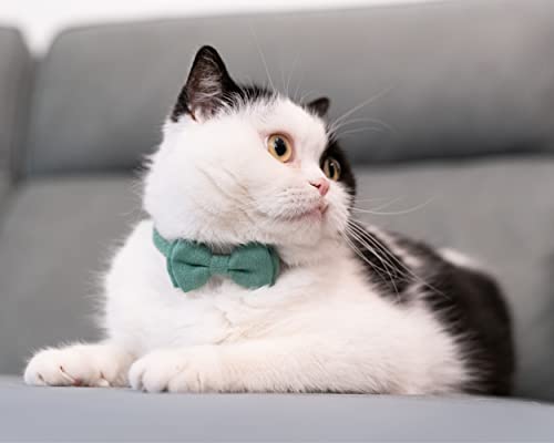 Cat Collar with Bow Tie Bell Breakaway Kitten Small Pet Safety Solid Wedding Basic Pure Color Suede Soft Adjustable [1pc] Green - color: [1pc] Green