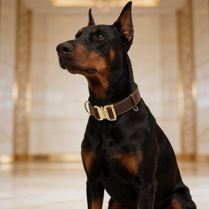 AssuredLock Leather Dog Collar, 1.5” Wide, Smooth Quick-Release Buckle with Adjustable Design, Heavy-Duty Handcrafted Collars for Large Dogs, Brown Gold-M - color: Brown-Gold, size: 12.5-20.5 In