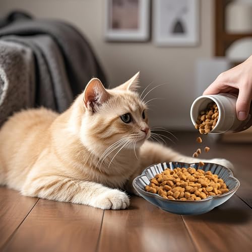 Cat Food Bowls, Ceramic Pet Plates, Cat Dish for Food, Water and Snack, 4.72 Inch, Indoor and Outdoor Use, Kitten Puppy and Small Animals Bowls Set of 3 (Blue) - color: blue