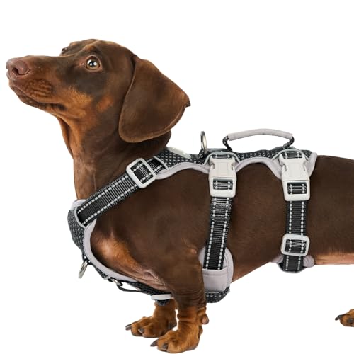 Huntboo Escape Proof Dog Harness, Escape Artist Harness, Fully Reflective Harness with Padded Handle, Breathable,Durable, Adjustable Vest for Medium Dogs Walking, Training, and Running Gear (Black,XS) - color: Black, size: X-Small(Pack of 1)