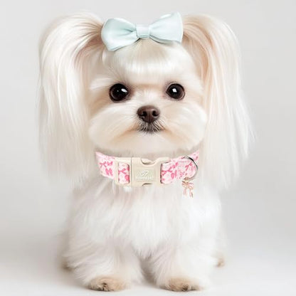 Pink Bow Dog Collar Cute Girl Dog Collars for Puppy Small Dogs - Lightweight Adjustable Girly Spring Female Dogs Everyday Collar with Safety Buckle XS - color: Coquette Bow, size: XS