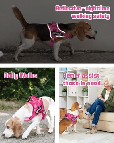 AUROTH Dog Harness and Leash Set, Soft Padded Service Dog Vest with 5.25FT Dog Leash, No Choke, Easy On Pet Vest, Adjustable Reflective No Pull Pet Vest Medium Sized Dog, Easy Walking and Training - color: Pink Camo, size: Medium