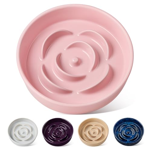vancasso Slow Feeder Dog Bowl, 1.5 Cups Ceramic Slow Feeder for Medium Breed, Puzzle Maze Food Dog Bowl for Fast Eater, Pink - color: Pink, size: M - 1.5 Cups