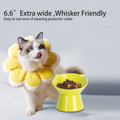 Detachable Elevated Cat Bowls, 15° Tilted Raised Cat Food Bowl Anti-Vomiting,Whisker Friendly, Adjustable Pet Dishes for Protecting Spine, cat Bowls for Indoor Cats Adult Kitten - color: Green