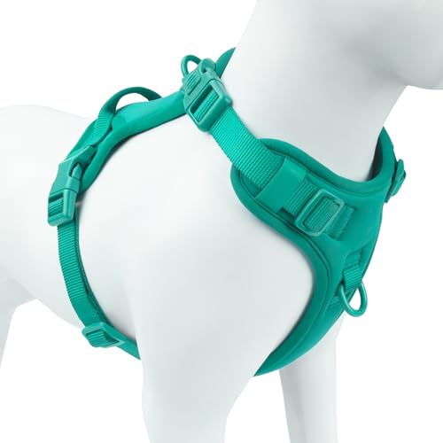 No Pull Dog Harness, Puppy Vest with Front Clip for Small Medium Large Sized Dog(MARRS Green,L) - color: MARRS Green, size: L(Neck:20.9-31.5", Chest:24.8-37.4")