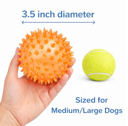 Squeaky Spiky Dog Ball for Teeth Cleaning & Gum Massage 2.5 Inch Small Medium Dogs Orange | Spiny TPR Rubber Chew Toy for Fetch Play Interactive Bouncy Dental Ball Durable BPA Free Nontoxic Floats - size: Orange, 2.5" 1 - Pack