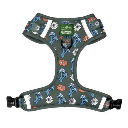 Lucy & Co. x Parks Project Power to the Parks No-Pull Dog Harness, Adjustable Front Clip Harness with Comfort Padding, Small - color: Power to the Parks, size: Small