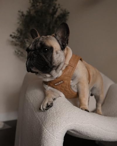 Step in Dog Cat Harness Lightweight Breathable Mesh Soft Padded Pet Vest Vegan Leather Choke Free Escape Proof for Small Medium Dogs (Tan Brown, XL) - color: Tan Brown, size: XL: Neck=14-18'', Chest:21-23''