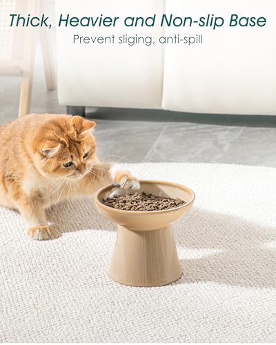 vancasso Ceramic Elevated Cat Bowls 2-Pack - 6.2" Extra Wide Raised Cat Food & Water Dishes, 5.1" Optimal Height Anti-Whisker Fatigue Shallow Bowls for Cats/Kittens/Dogs, Lead & Cadmium Free (Brown) - color: Brown
