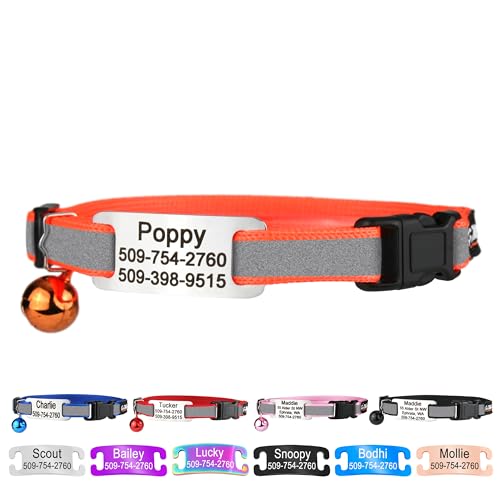 GoTags Personalized Reflective Cat Collars with Tag, Engraved Custom with Name and Phone, Breakaway Collar with Safety Buckle and Bell, Adjustable for Cats and Kitten, (Orange with Nameplate) - color: Orange, size: One-Size (Reflective)