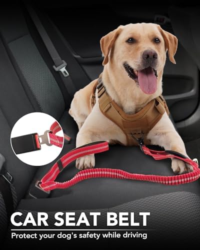 Joytale Tactical Dog Leash Heavy Duty, 4-6FT Shock Absorbing Bungee Lead with 2 Padded Handle, Metal Carabiner Clip, Car Seatbelt, Strong No Pull Leash for Medium Large X-Large Dogs, Red - color: Red