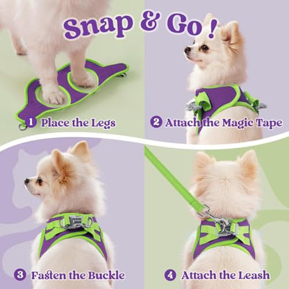 rabbitgoo Dog Harness Small Sized and Leash Set, Step-in Breathable Pet Harness, Soft Walking Reflective Puppy Vest for Small Dogs, Purple & Green, XS - color: Purple & Green, size: XS (Chest: 13.3 - 15.5")