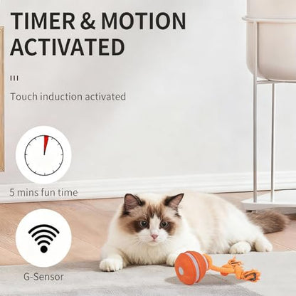 Interactive Dog Cat Toys Dog Ball,Automatic Rolling and Bouncing Moving Dog Toy,Squeaky Rolling Balls with Flashing Light,USB Rechargeable Chew Toys for Puppy Small Dogs, Pet Ball to Keep Them Busy - color: 1 Blue +1 Orange