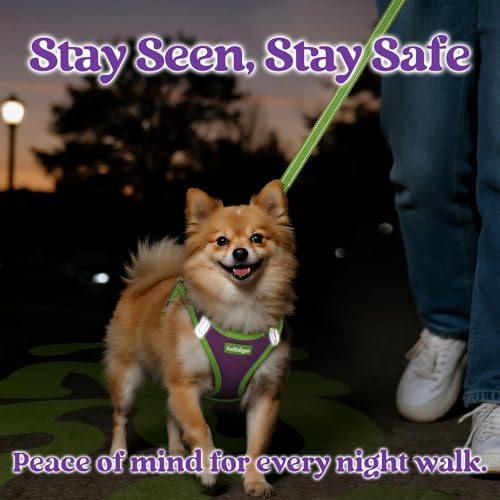 rabbitgoo Dog Harness Small Sized and Leash Set, Step-in Breathable Pet Harness, Soft Walking Reflective Puppy Vest for Small Dogs, Purple & Green, XS - color: Purple & Green, size: XS (Chest: 13.3 - 15.5")