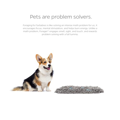 Pet Parents Forager Snuffle Mat with SoftSnout & Non-Slip Backing, Slow Feeder for Large & Small Dogs (Meadow 12")