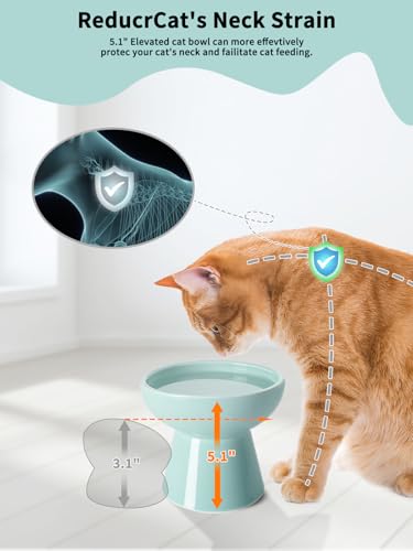 LoeJan Elevated Cat Food and Water Bowls Set, Extra Wide and Raised Ceramic Feeder, Anti-Vomit Whisker-Free Pressure Feeding Bowl for Kittens Adult Small Dogs (Blue) - color: Blue, size: Single (Water Bowl)