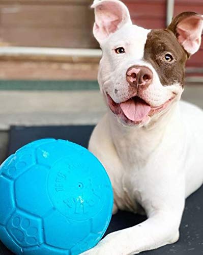 Jolly Pets Large Soccer Ball Floating-Bouncing Dog Toy, 8 inch Diameter, Ocean Blue - color: Ocean Blue, size: 8 Inch Diameter