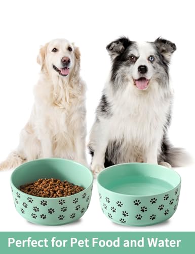UBEE 6.5 inch Dog Bowls Set of 2, Ceramic Dog Food Water Bowl Dish with Paw Pattern, Pet Food Water Dishes Feeding for Small and Meidum Dogs and Large Cat, Green - color: Green-paw, size: 6.5 inch x 2