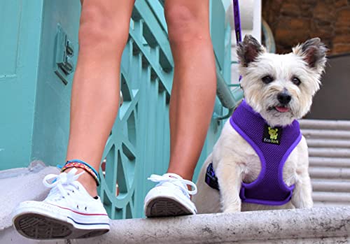 EcoBark Dog Harness - Eco-Friendly Max Comfort Harnesses - Luxurious Soft Mesh Halter - Over the Head Harness Vest- No Pull and No Choke for Puppy, Toy Breeds & Small Dogs (Medium, Purple) - color: Purple