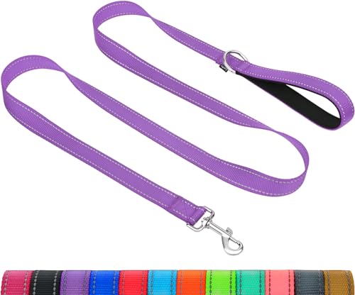 Taglory Dog Leash for Medium Large Dogs, Double-Sided Reflective for Night Walking, Neoprene Padded Handle, 1 inch by 4 ft, Heavy Duty for Medium Large Breeds 20-150 lbs, Purple - color: Purple, size: 1 in x 4 ft (Pack of 1)