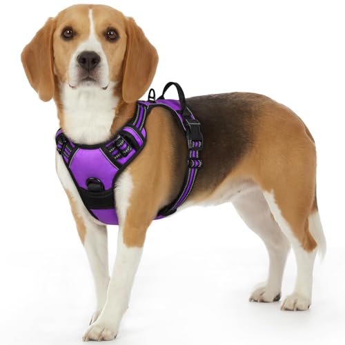 Dog Harness Small Sized Dog, No Pull Service Vest with Reflective Strips and Control Handle, Adjustable and Comfortable for Walking, No Choke Pet Harness with 2 Metal Rings, Purple, S - color: Purple, size: Small