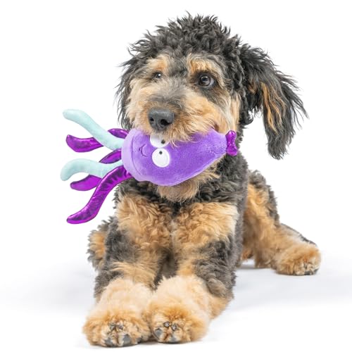 Huxley & Kent Slappies for Dogs | Squiggly Squid (Small) | Squeak & Shake Dog Toy | No Stuff Squeaky Toy, TPR Ball in Head | Simulates Hunting Nature for Dogs - size: Small, style: Squiggly Squid
