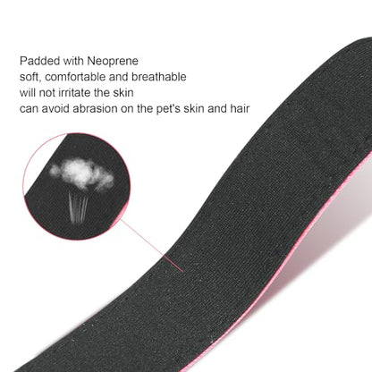 Dog Collars Adjustable for Small Dogs,Heavy Duty Waterproof Dog Collar with Quick Release Buckle,Girl Boy Female Male Reflective Nylon Dog Collar with Soft Neoprene Padded,S,Hot Pink - color: Hot pink, size: Small