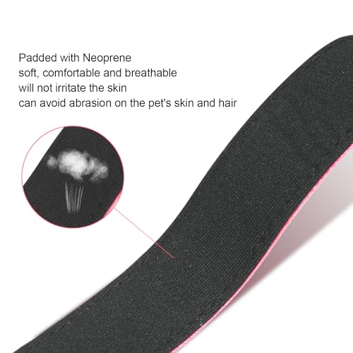 Dog Collars Adjustable for Medium Dogs,Heavy Duty Waterproof Dog Collar with Quick Release Buckle,Girl Boy Female Male Reflective Nylon Dog Collar with Soft Neoprene Padded,M,Hot Pink - color: Hot pink, size: Medium