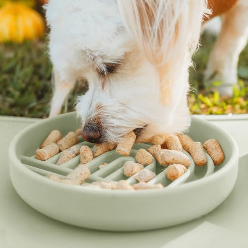 Should We Go? Slow Feeder for Dogs & Cats, The Slowdown Bowl Silicone Slow Eating Mealtime Solution with Modern Lick Mat Design, Reduces Gulping, Fits 1 Cup, 6” Across x 1.25” Tall, Small-Sage - color: Sage - Rainbow Design, size: Small (6” Across x 1.25”