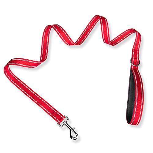 PHOEPET 5 Feet Dog Leash - Dual-Side Reflective - Soft Padded Handle - Fit for Walking, Training or Exploring Hiking, Camping (Red + Black Base) - color: Red + Black Base