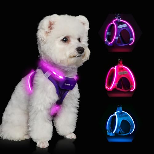 Light Up Dog Harness,Rechargeable LED Dog Harness for Small Medium Large Dogs,Reflective Lighted Safety Vest for Night Walking & Camping,Lightweight & Adjustable,Purple,M - color: Purple, size: M