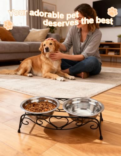 Small Dog Bowls with Metal Stand for Small Breeds Cats and Puppies 3.4 Inch Fixed Height Elevated Feeder with 2 Removable Stainless Steel Bowls