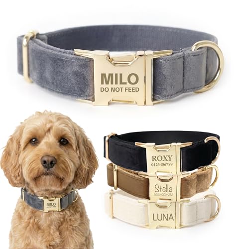 Dog Collar Personalized with Name Engraved - Light Gold Quick Release Buckle, Soft Velvet Lined, Comfortable Gift for Small, Medium, Large Dogs - color: Charcoal, size: XS