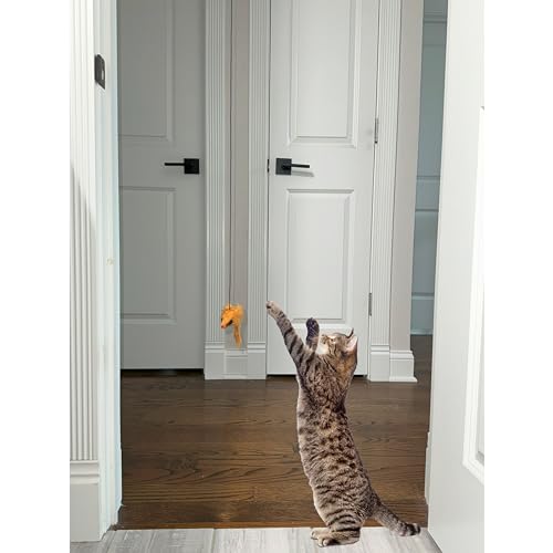 SPOT A-Door-Able Bouncing Mouse Cat Toy - Hanging Rattle & Catnip Interactive Toy, Entertain Cats for Hours, Indulge Natural Hunting Instincts, Provide Mental Stimulation, Suspend From Any Door Frame