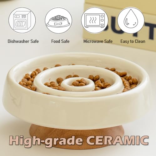 Ceramic Cat Slow Feeder, Raised Slow Feeder Cat Bowl, Anti Vomiting and Whisker Friendly Kitty Dish, Elevated Puppy Kitten Food Bowl for Dry and Wet Food (White) - color: White