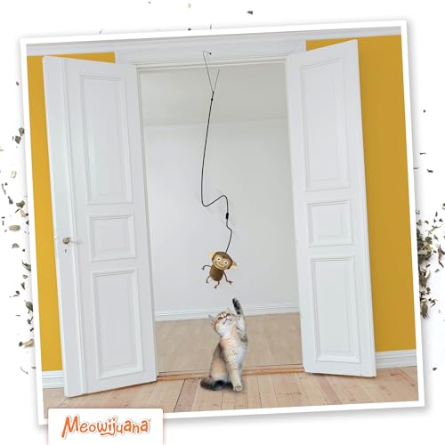 Meowijuana Jump 'n' Jamb Door Hanging Cat Toy | Funky Monkey | Refillable Interactive Catnip Toy | Promotes Play and Cat Health | Includes Potent Catnip Grown in North America - color: Funky Monkey