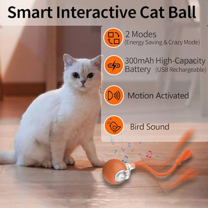 Interactive Cat Toys, Automatic Moving Cat Toys for Bored Indoor Adult Cats, Fast Rolling, Chirping & Motion-Activated Kitty Toys, Fun Gift for Cats with Speedy Tail 2.0, USB Rechargeable (Orange)