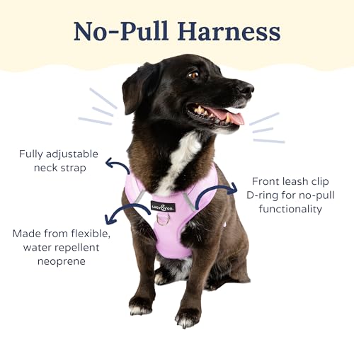 Lucy & Co. The Bouquet No-Pull Dog Harness - Size Small - Vest to Stop Pulling & Walk Easy - Comfortable Leash Training Product w/Adjustable Chest & Neck Straps - color: The Buquet No-Pull Harness, size: Small