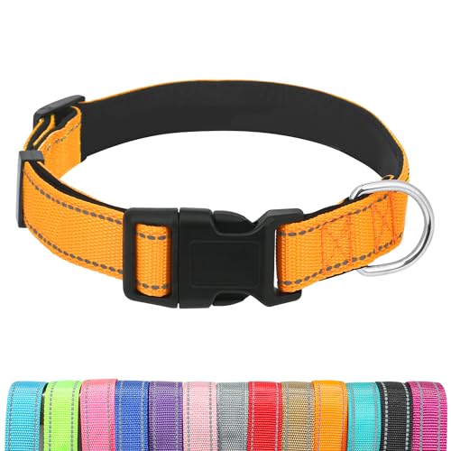 Dog Collars Adjustable for Puppy and Small Dogs,Heavy Duty Waterproof Dog Collar with Quick Release Buckle,Girl Boy Female Male Reflective Nylon Dog Collar with Soft Neoprene Padded,XS,Orange - color: Orange, size: X-Small
