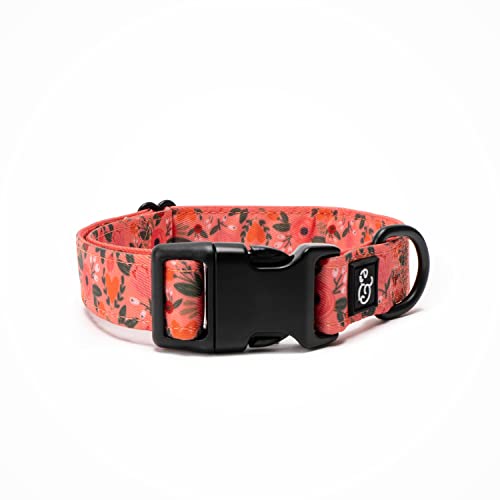 Lucy & Co. Posy Pink Dog Collar - Durable Lightweight Designer Collar for Pets - Adjustable Metal Safety Buckle - Coral Pink Floral - Small - color: Posy Pink Dog Collar, size: Small
