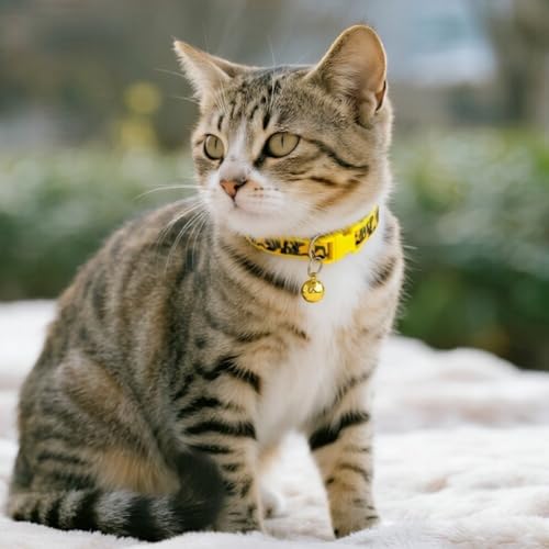 Personalized Camo Dog Collars-Adjustable Lightweight Nylon Pet Collars, Quick-Release Buckle, Perfect for for Small Dogs, Puppies & Cats (4-Pack - color: yellow