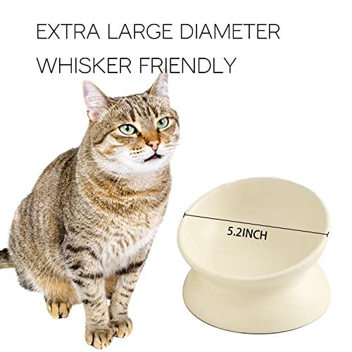Ceramic Raised Cat Bowl, Cat Food Bowls Elevated Tilted, Ceramic Pet Bowl Whisker Friendly, Anti Vomit & Reduce Neck Burden for Food and Water (Green) - color: Green