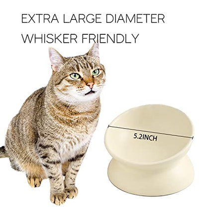 Ceramic Raised Cat Bowl, Cat Food Bowls Elevated Tilted, Ceramic Pet Bowl Whisker Friendly, Anti Vomit & Reduce Neck Burden for Food and Water (Pink) - color: Pink