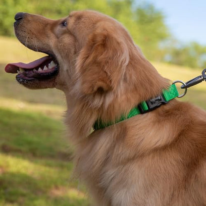 Small Dog Collar Quick-Release Green| Heavy-Duty Nylon Puppy Collar, Adjustable & Durable Pet Supplies for Boy & Girl Dogs (Small, Lime Green) - color: Lime Green, size: Small