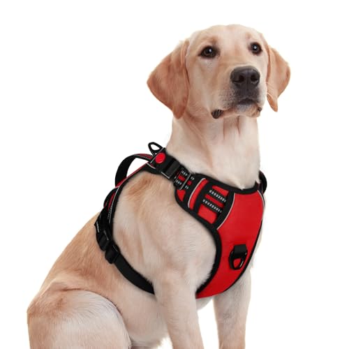 rabbitgoo Dog Harness Medium Sized, No Pull Pet Harness with Soft Padded Handle, Adjustable Reflective Vest with 3 Buckles, Easy Walking Harness with 2 Leash Clips, Red, M - color: Red, size: Medium