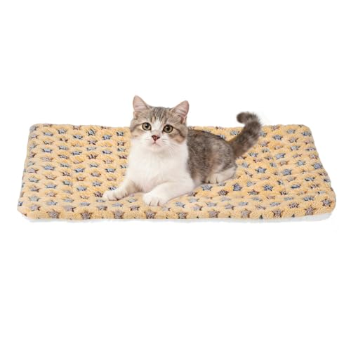 Dog Cat Bed Mat, Soft Coral Fleece Pet Cushion Pad with Cute Star Print, Warm Washable Pet Bed 21x14 Inches, (Coffee), Intended for Medium Small Dog Cat - color: Coffee, size: 21x14 inch