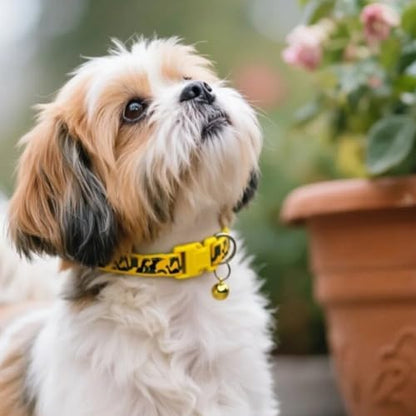 Personalized Camo Dog Collars-Adjustable Lightweight Nylon Pet Collars, Quick-Release Buckle, Perfect for for Small Dogs, Puppies & Cats (4-Pack - color: yellow